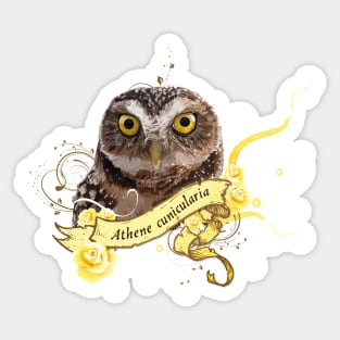 Owl Sticker